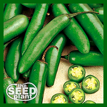 serrano pepper seeds to plant Serrano Chili Pepper – The Seed Plant