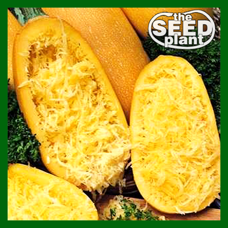 Spaghetti Squash