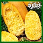 Spaghetti Squash