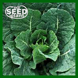 Vates Collard Greens