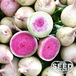 Watermelon Radish